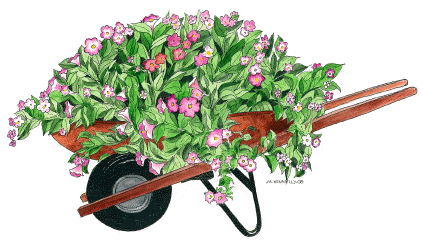wheelbarrow